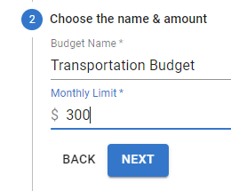 Name budget in Insights