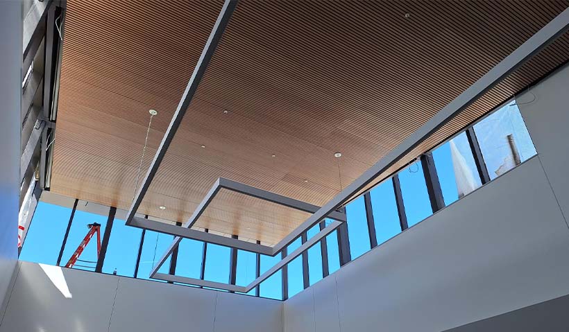 Main area ceiling, lighting and windows