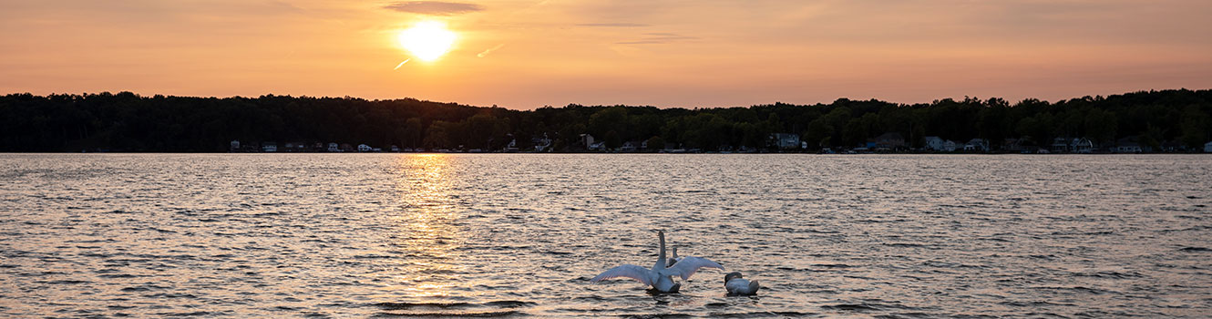 local lake